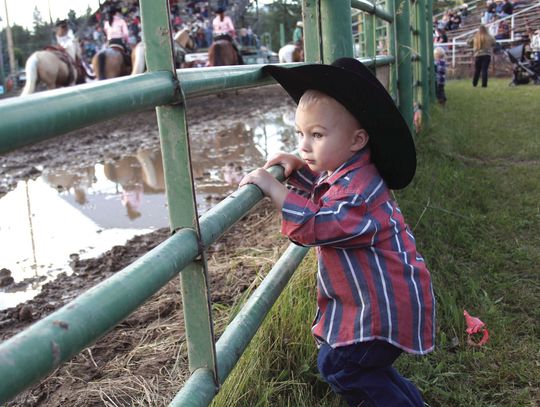 Newport Rodeo, 2014
