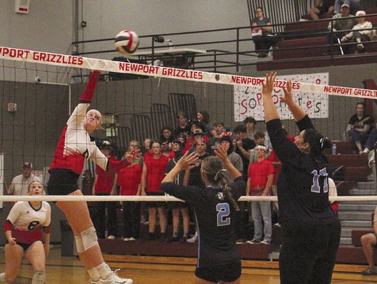 Newport volleyball 2-1 on week