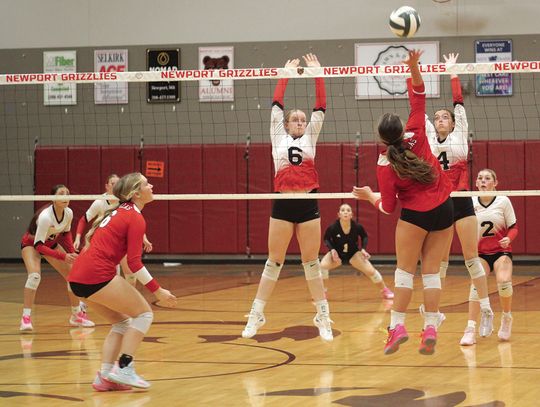 Newport volleyball wins after two losses