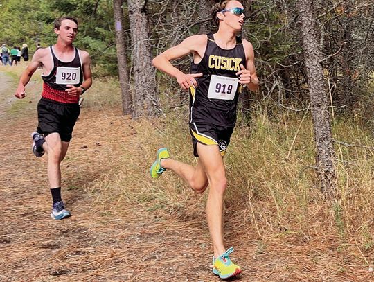 Panther runners place high in first meets