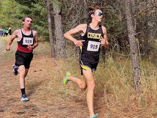 Panther runners place high in first meets