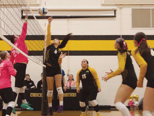 Panther volleyball hits five-game win streak