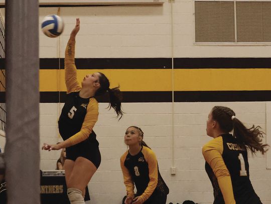Panther volleyball opens season with loss, win