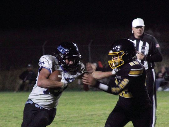 Panthers celebrate senior night with 74-28 win over SelPort