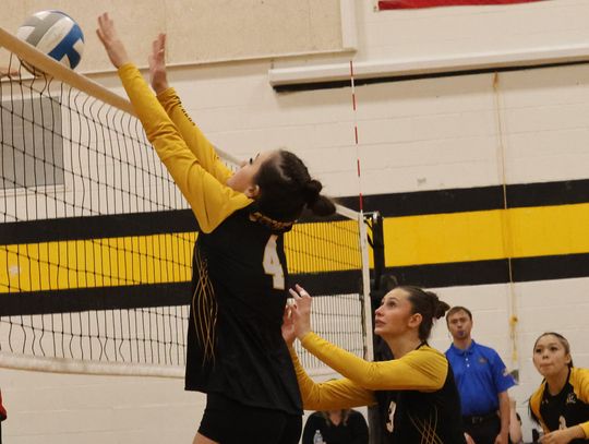 Panthers claw straight-set volleyball win