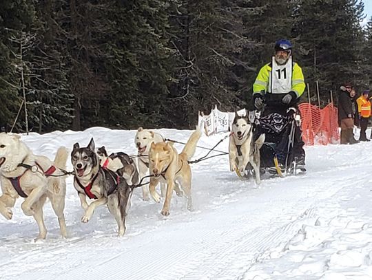 Plenty of snow for Priest Lake Sled Dog races