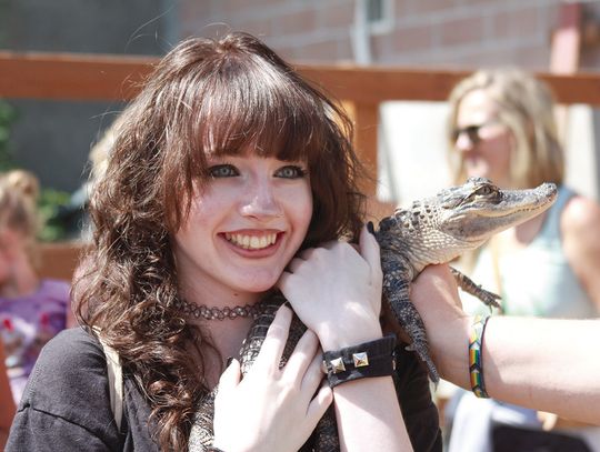 Snuggle up with an alligator?
