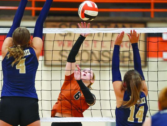 Spartan volleyball starts with wins