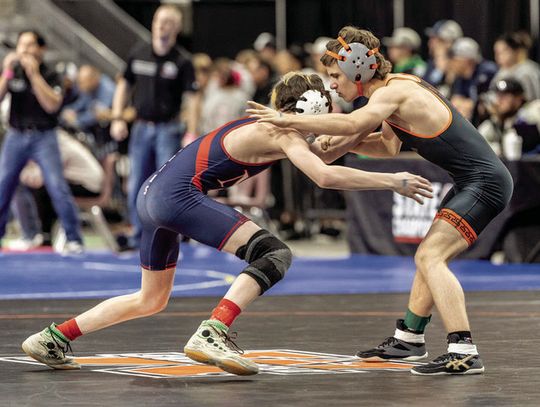 Spartans medal, break records at state