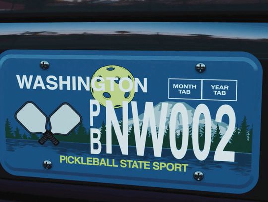 Specialty pickle ball plate