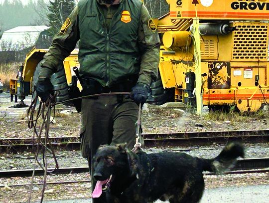 Suspect flees from police during traffic stop