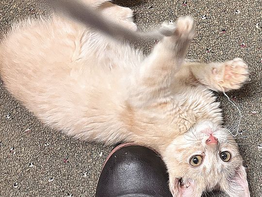 The string, the string!