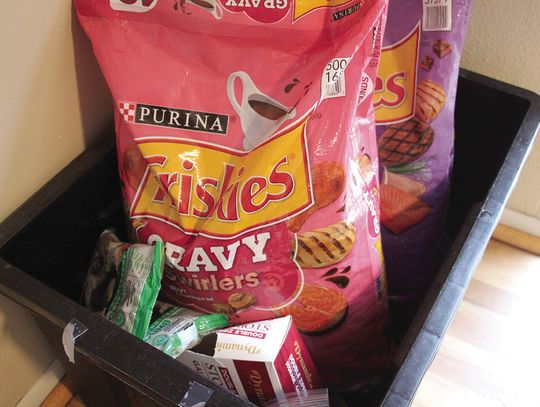 ‘Their lifeline’