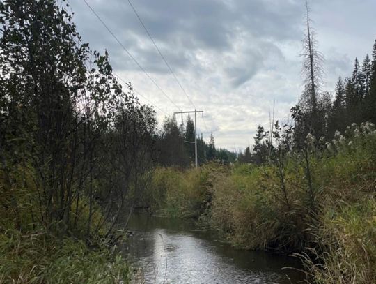 Tribe receives nearly $1 million for salmon