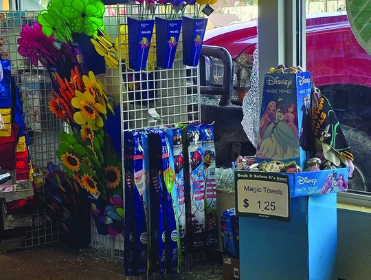 Truck accidentally hits Dollar Tree