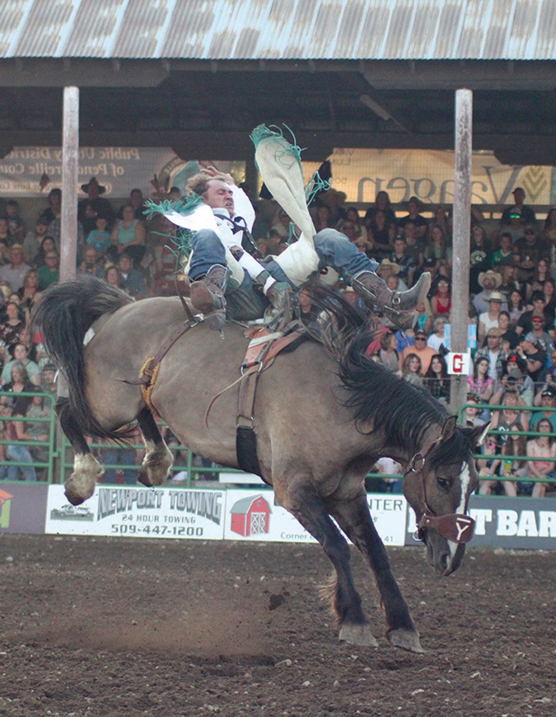 This bareback rider is showing how to spur one during Friday’s show