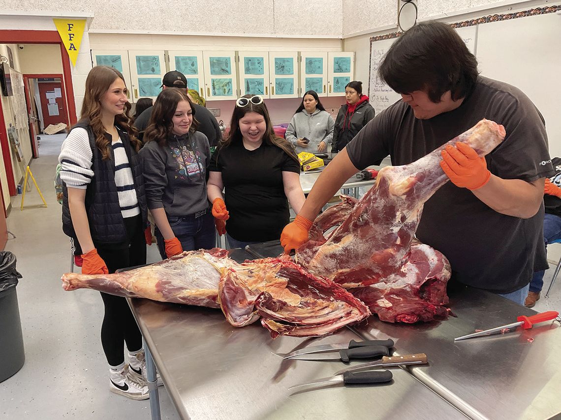 Buffalo Boys teach Cusick High meat-processing lab