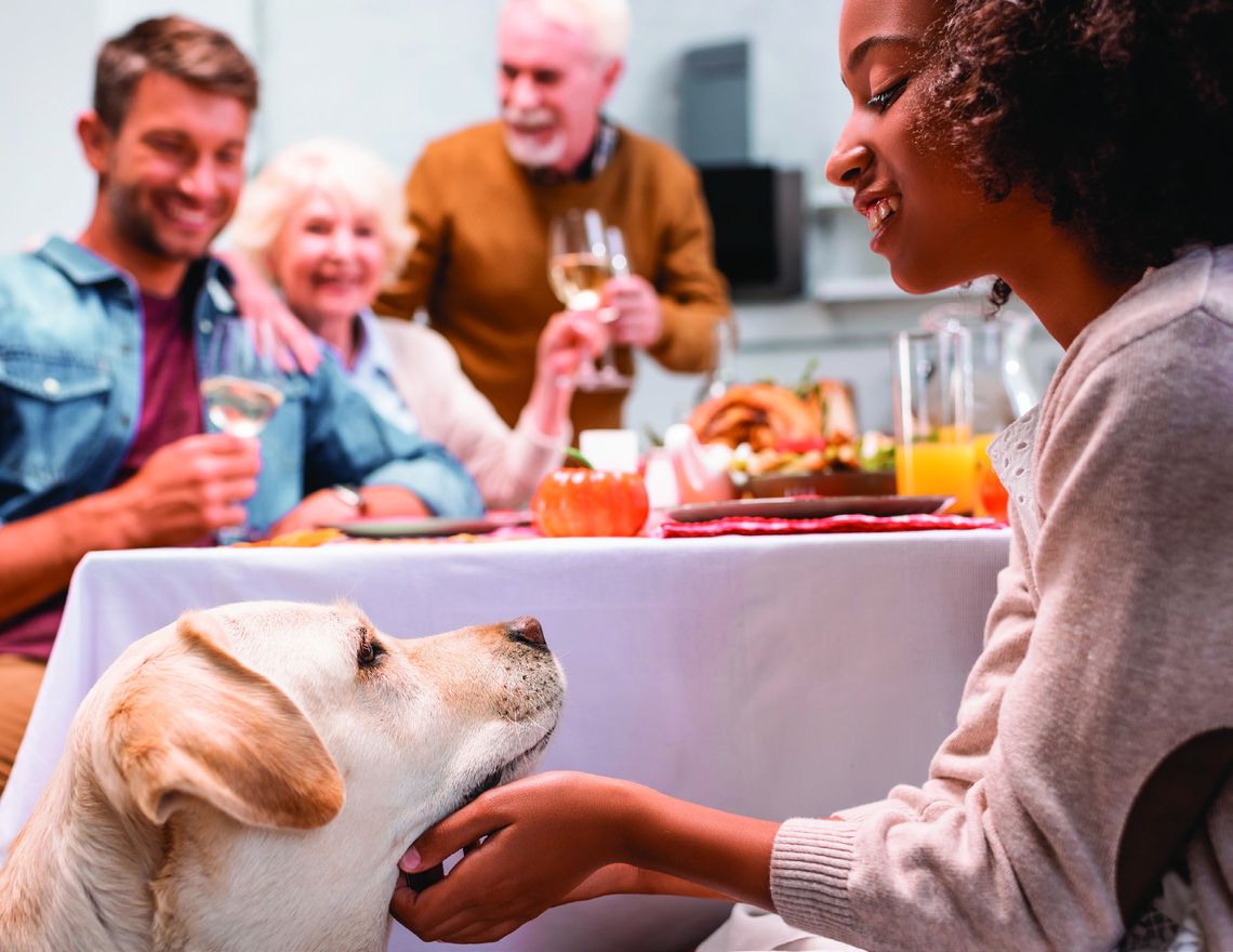 COZY UP TO PEACE OF MIND