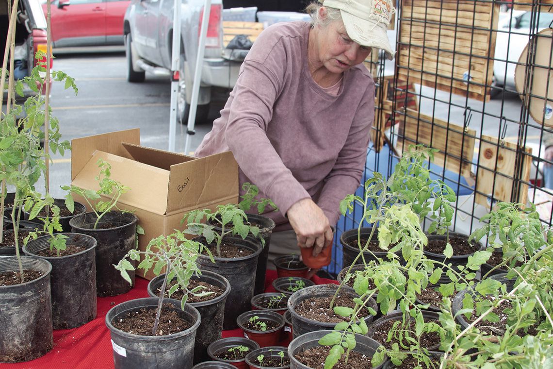 Farmers market opens for season