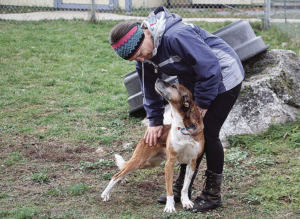 Good boy, good trainer