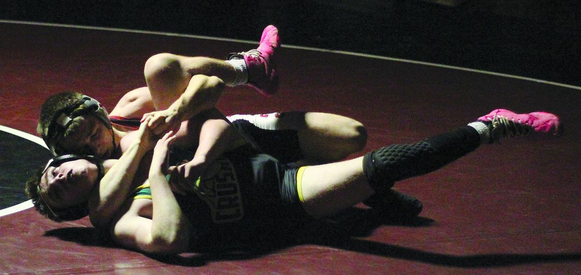 Grizzlies get a hold on Crusaders Grizzlies get a hold on Crusaders