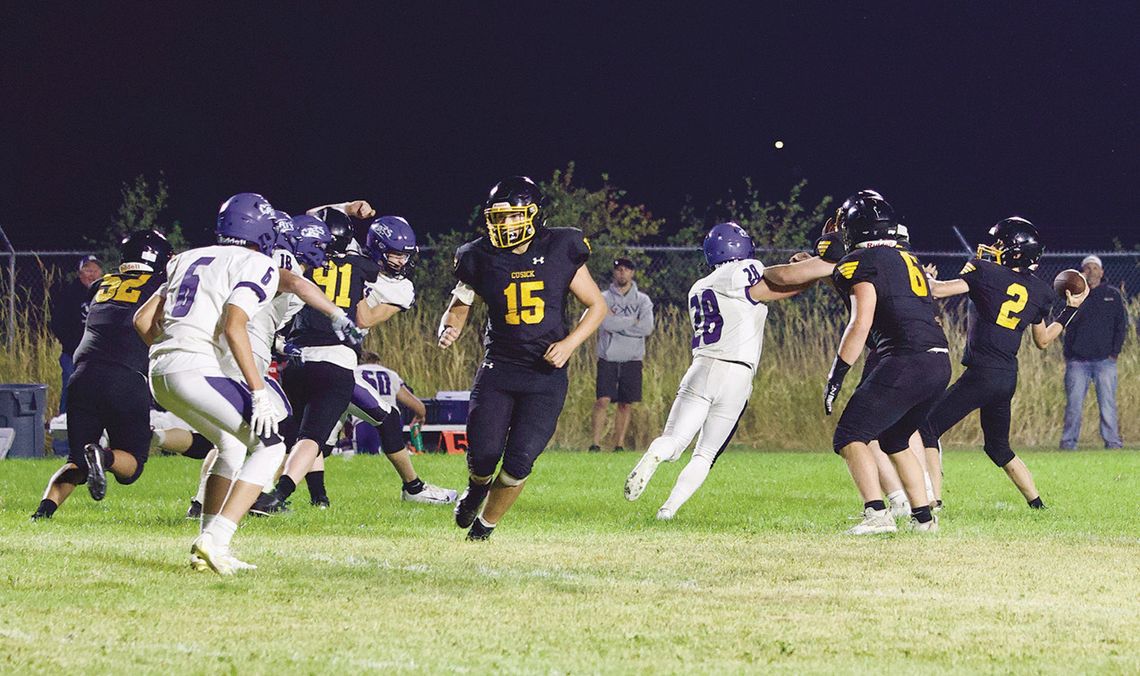Hard open at home for Panthers