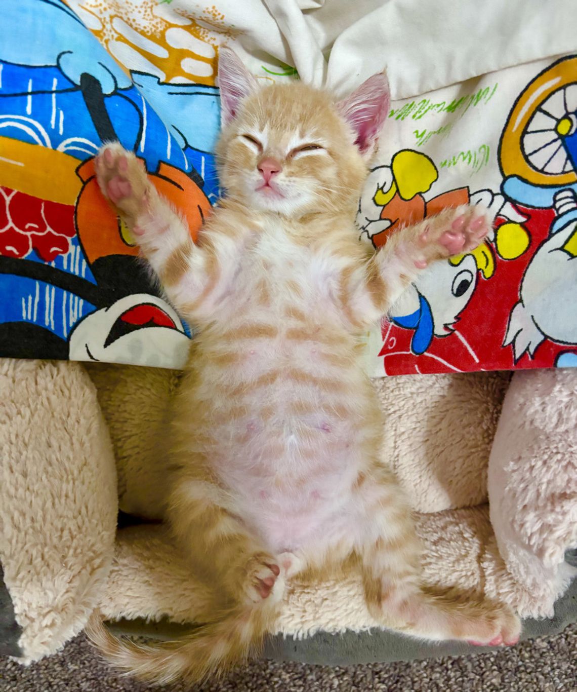 Look at that belly