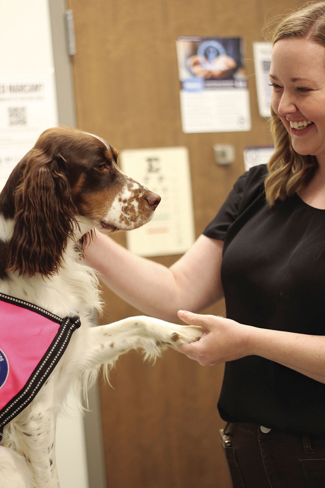 Meet Newport Hospital’s new therapy dog Meet Newport Hospital’s new therapy dog