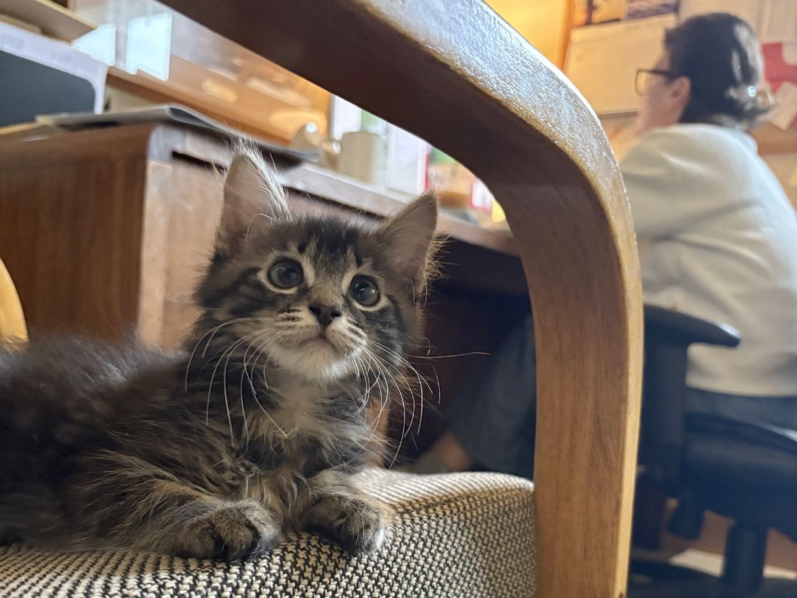 Meet The Miner’s ‘Mittens’