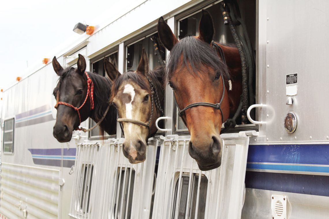 Newport Rodeo, 2012
