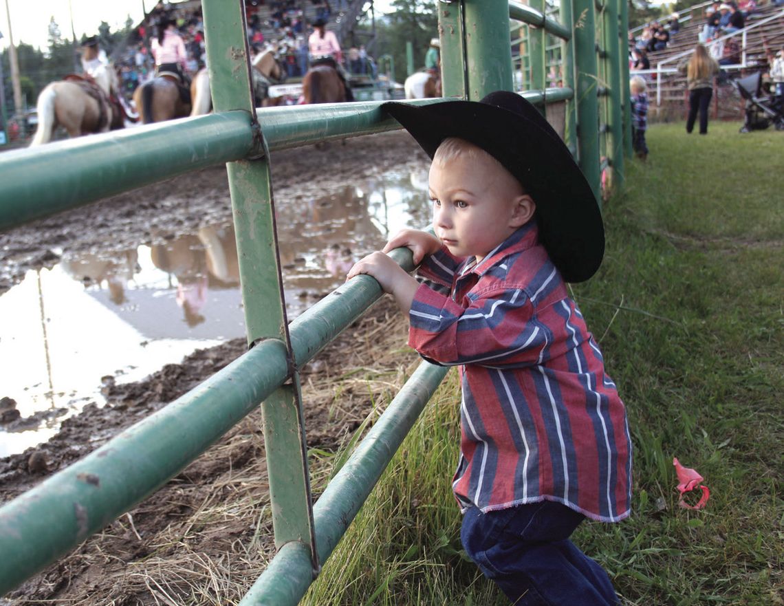 Newport Rodeo, 2014