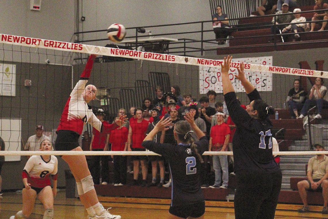 Newport volleyball 2-1 on week