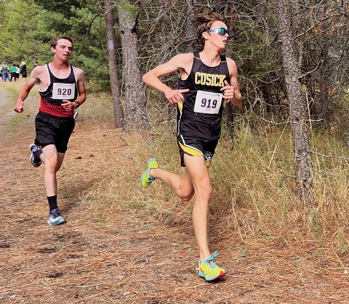 Panther runners place high in first meets