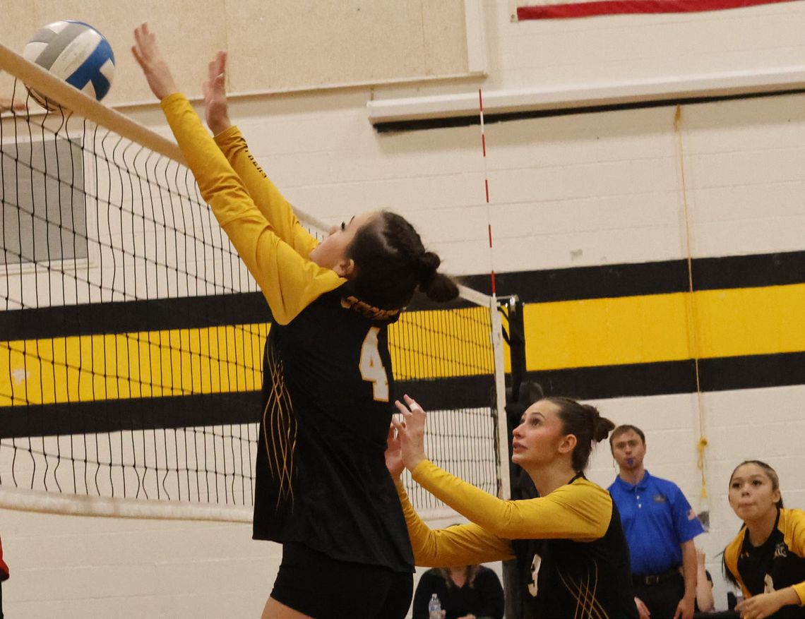 Panthers claw straight-set volleyball win Panthers claw straight-set volleyball win