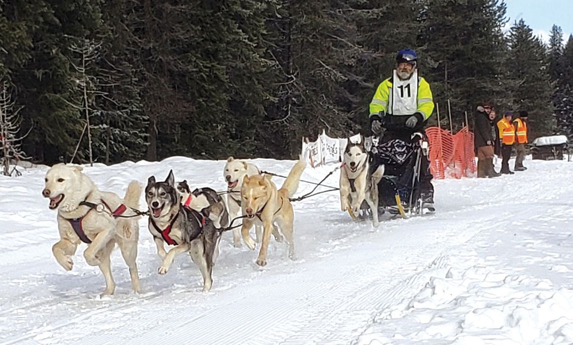 Plenty of snow for Priest Lake Sled Dog races