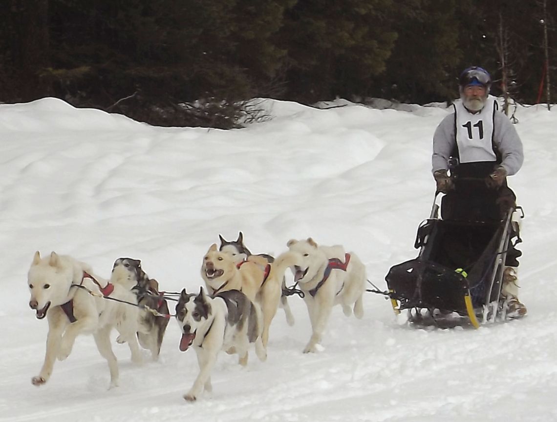 Priest Lake Sled Dog Races back