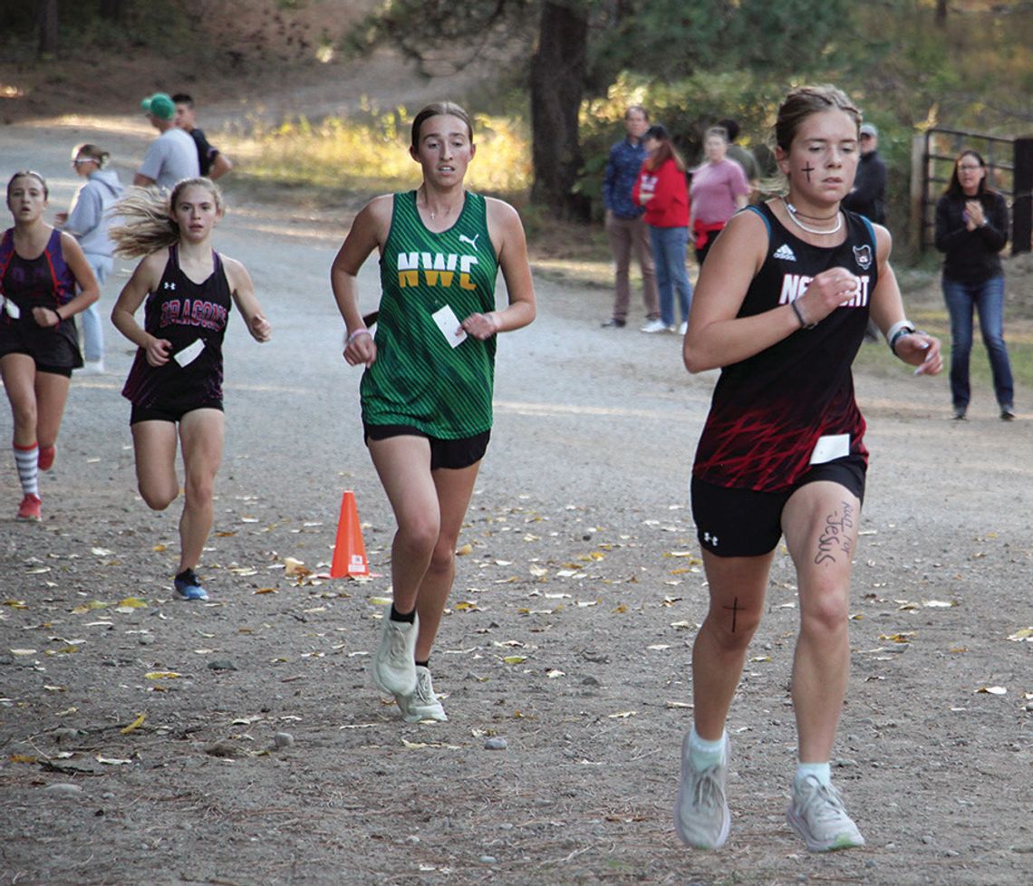 Run, Grizzlies, run Run, Grizzlies, run