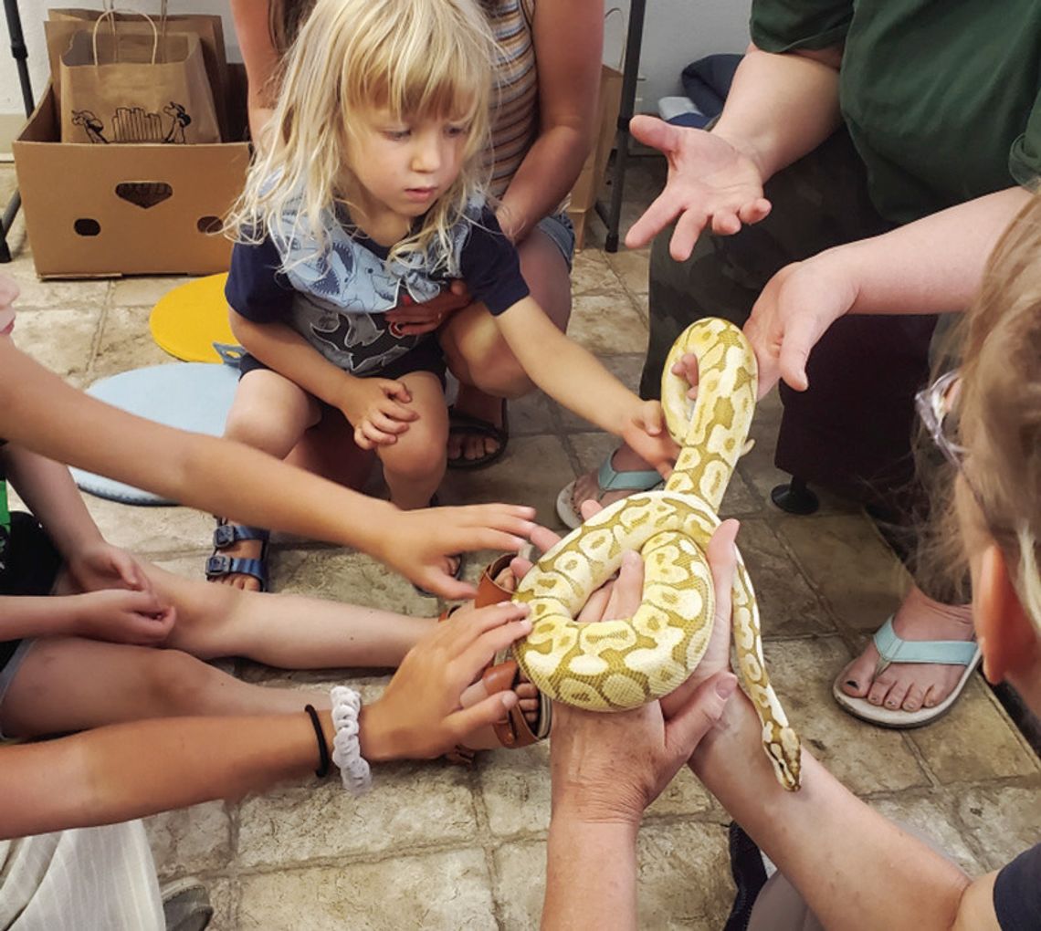 Slithery Storytime