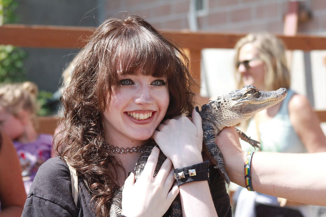 Snuggle up with an alligator? Snuggle up with an alligator?