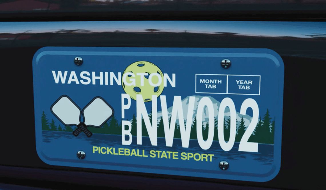 Specialty pickle ball plate