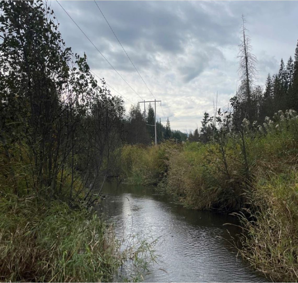 Tribe receives nearly $1 million for salmon