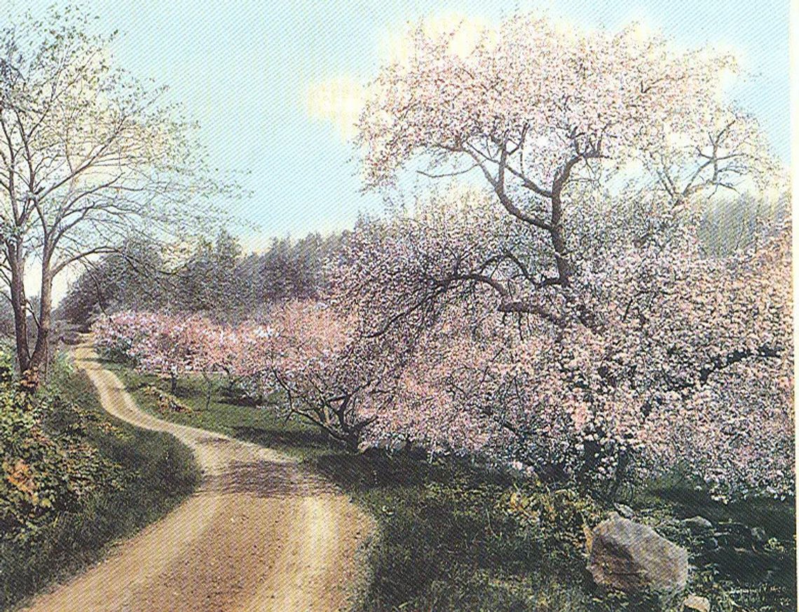Wallace Nutting prints auction at Cutter