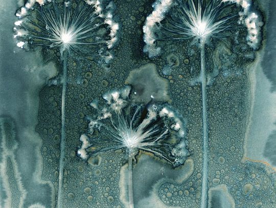 Jill Welham